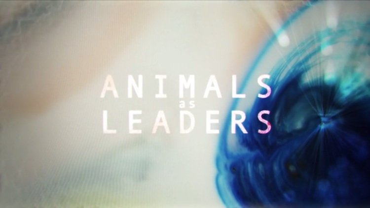 animalsasleaders