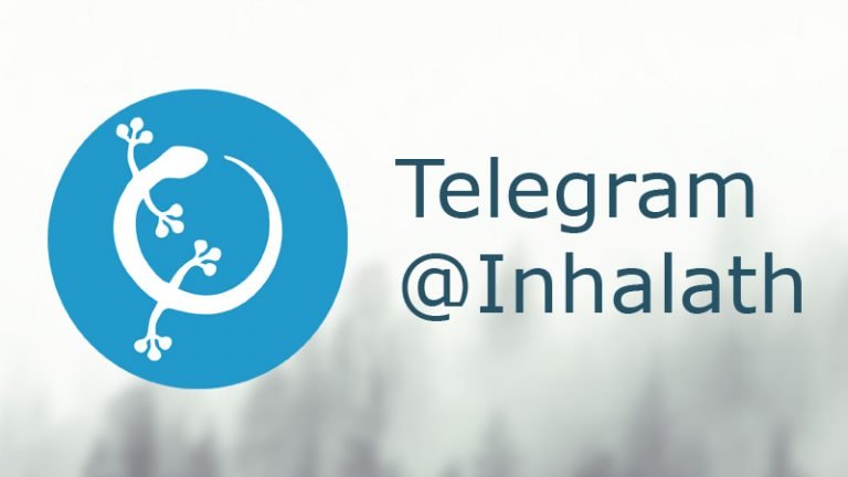 Работа сайта: канал в Telegram и блокировка VK в Украине